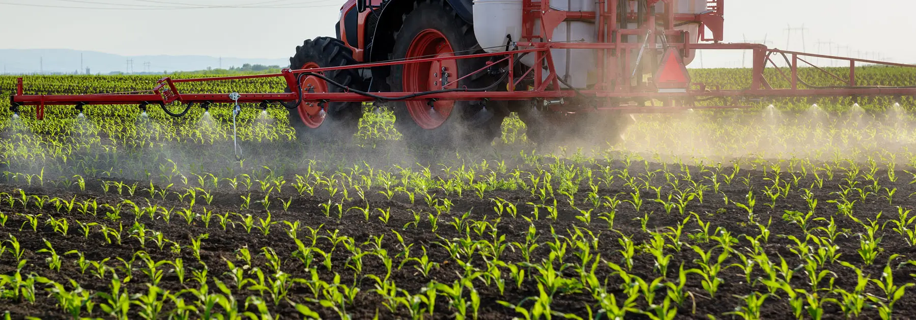 Roundup